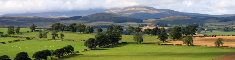 Cheviot Hills, Northumberland